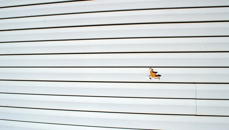 Vinyl Siding Repair - Image 12